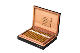 Signature Collection - Churchill Suave - Box of 24